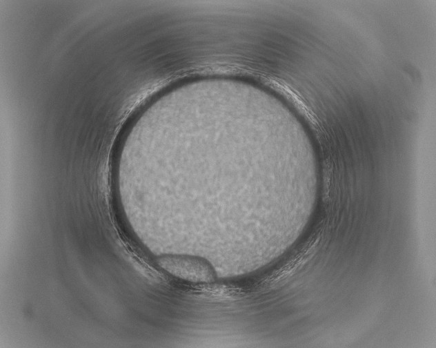 X0000115610439200912081005