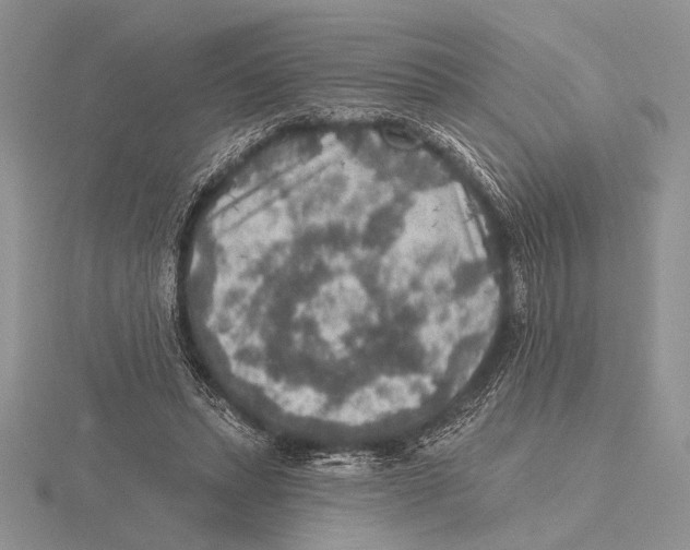 X0000115610447200912081005