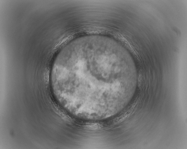 X0000115610454200912081005