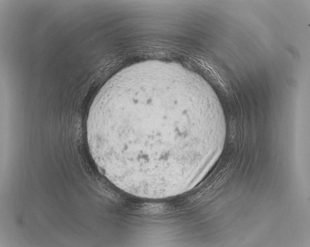 X0000115610457200912081005