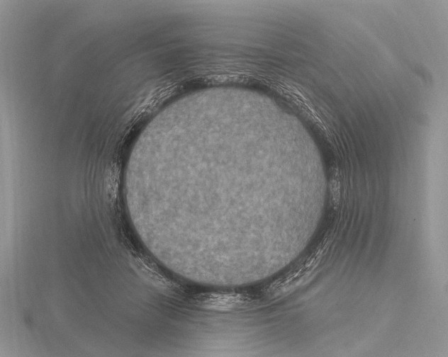 X0000115610458200912081005