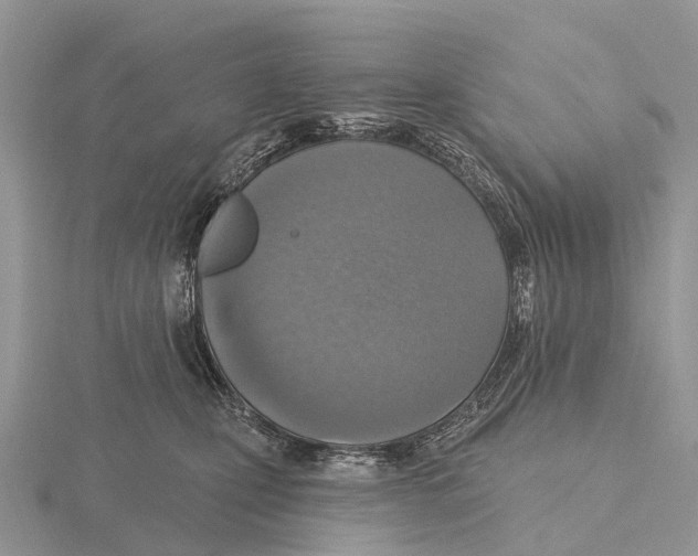 X0000115610471200912081006