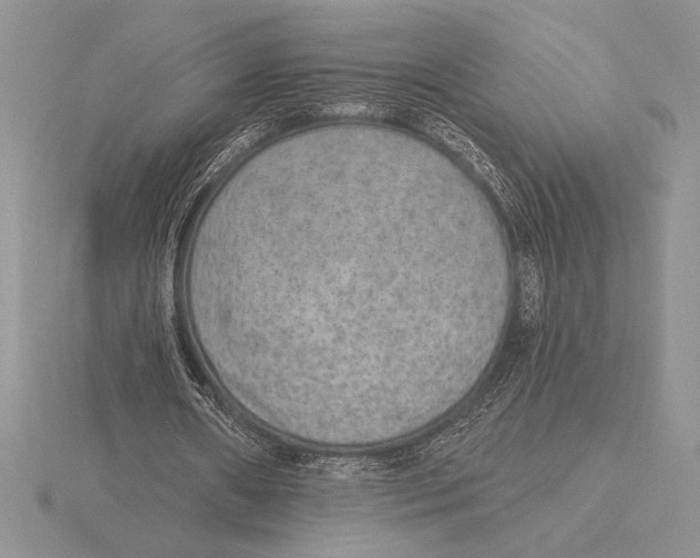 X0000115610482200912081005