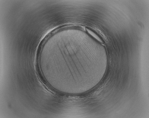 X0000115610484200912081005