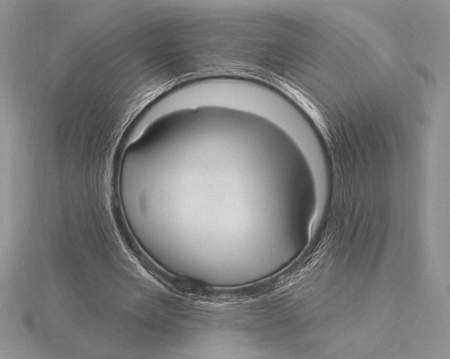 X0000115610485200912081005