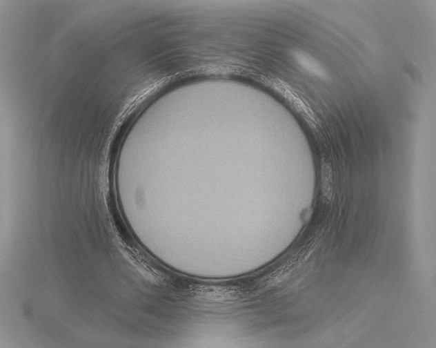 X0000115610486200912081005