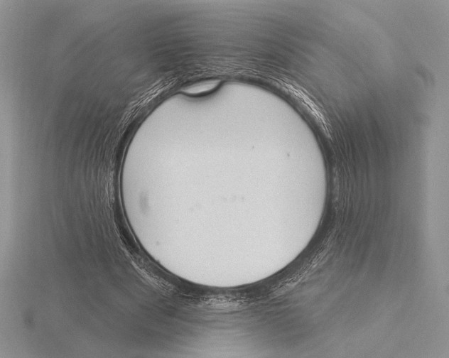 X0000115610489200912081005