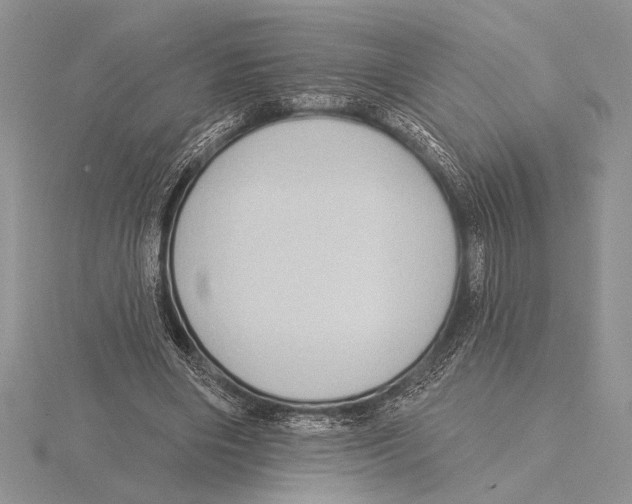 X0000115610490200912081005