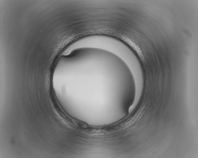 X0000115610493200912081005
