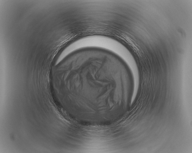 X0000115610500200912081005