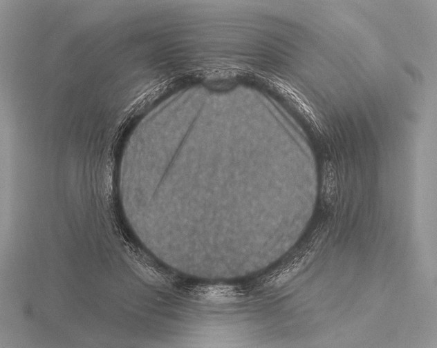 X0000115610501200912081005