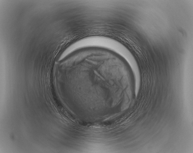 X0000115610504200912081005