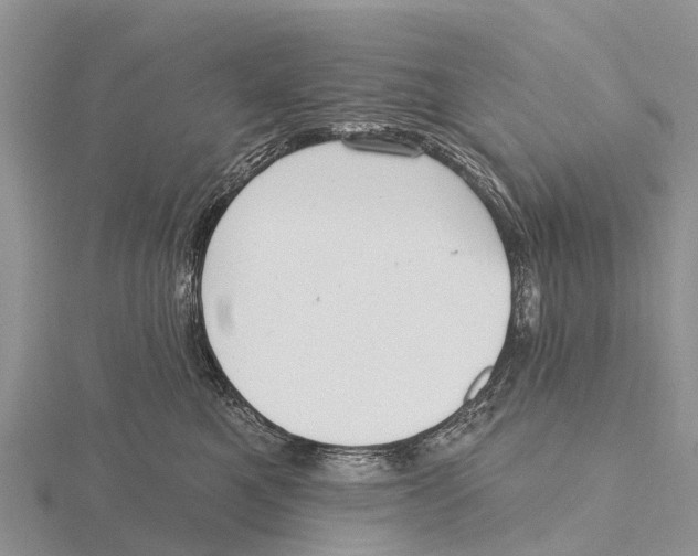 X0000115610521200912081005