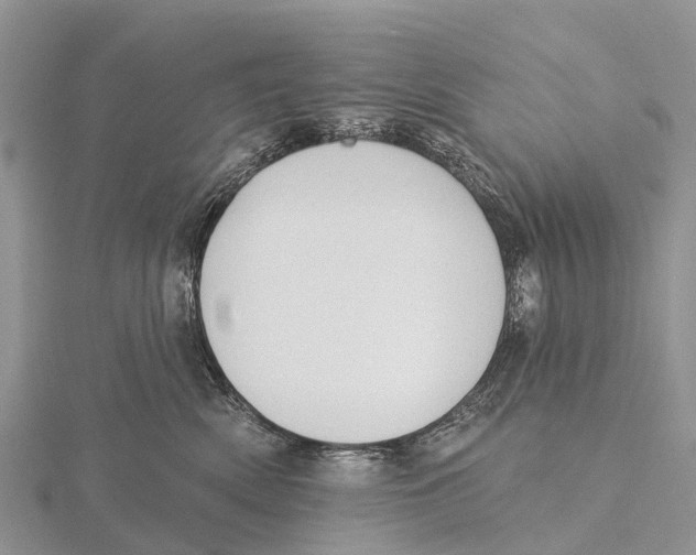 X0000115610522200912081005