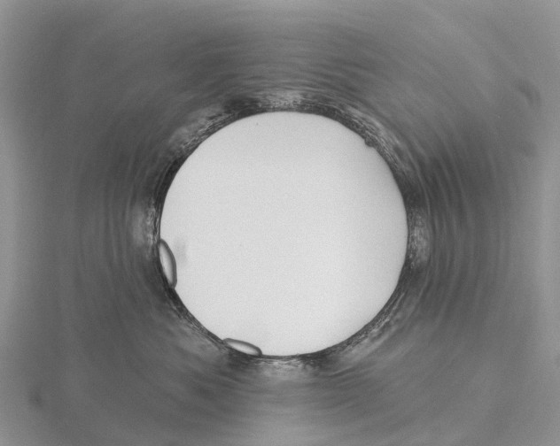 X0000115610525200912081005