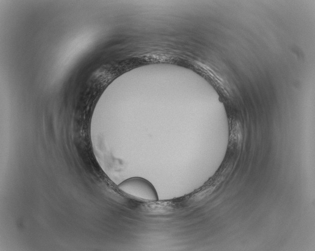 X0000115610526200912081005