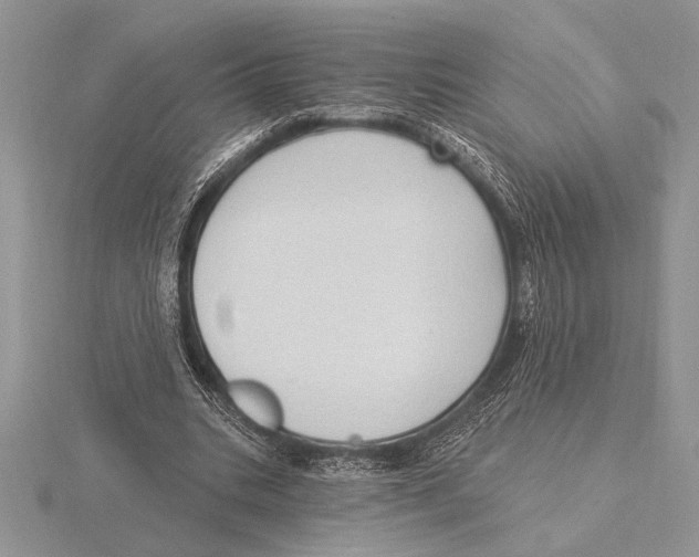 X0000115610535200912081004