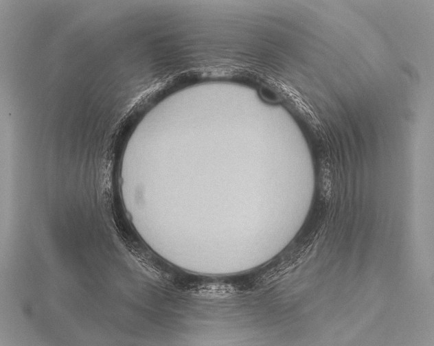 X0000115610543200912081004
