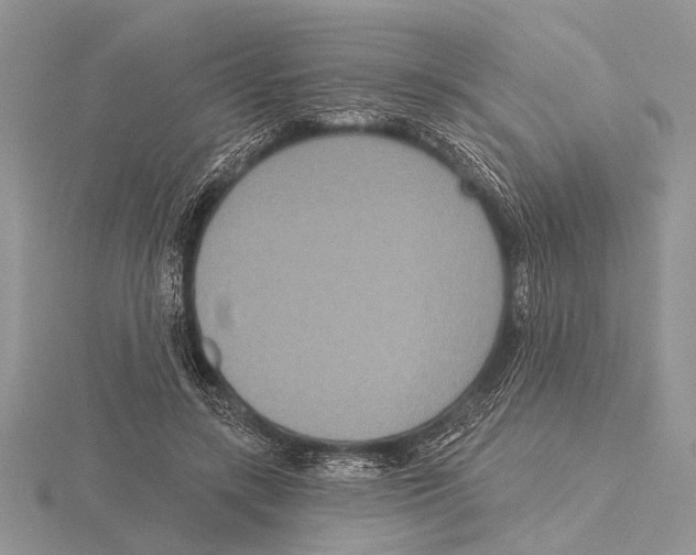 X0000115610547200912081004