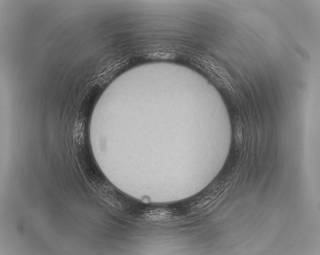 X0000115610551200912081004