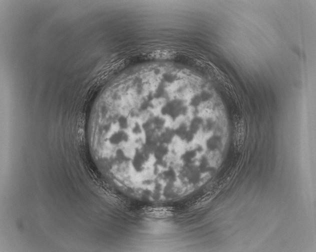 X0000115610553200912081004