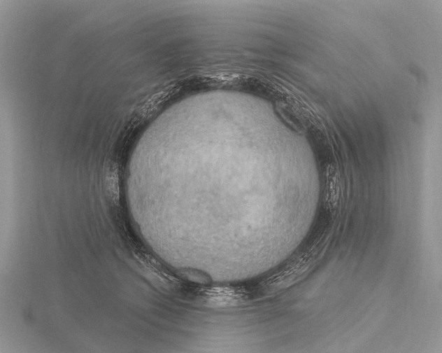 X0000115610562200912081004