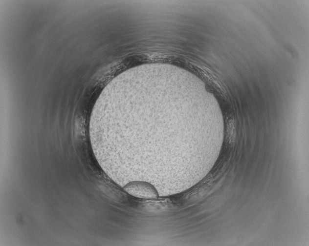 X0000115610571200912081004