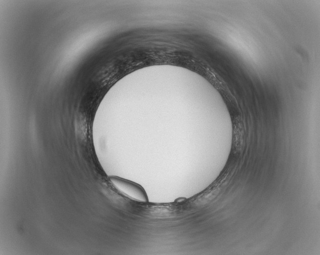X0000115610574200912081005