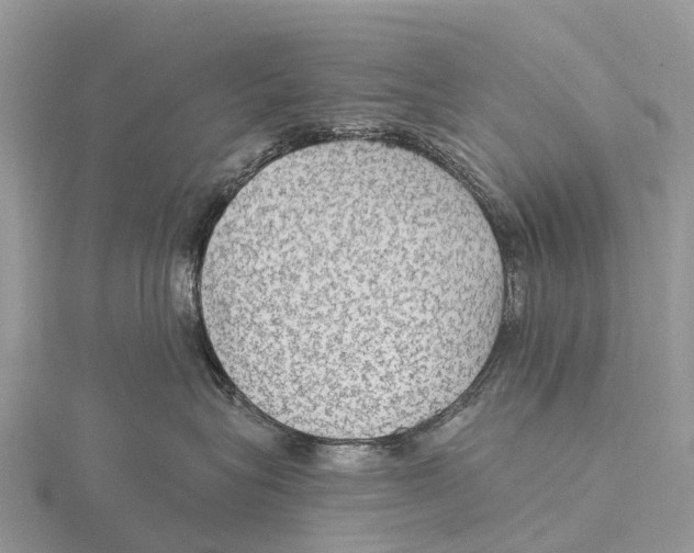 X0000115610575200912081005