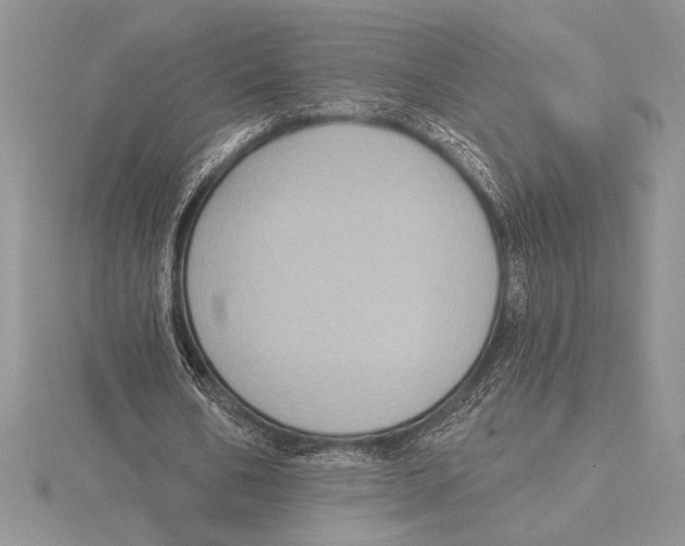 X0000115610578200912081004