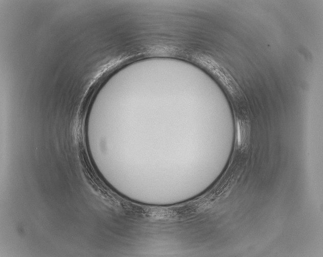 X0000115610579200912081004