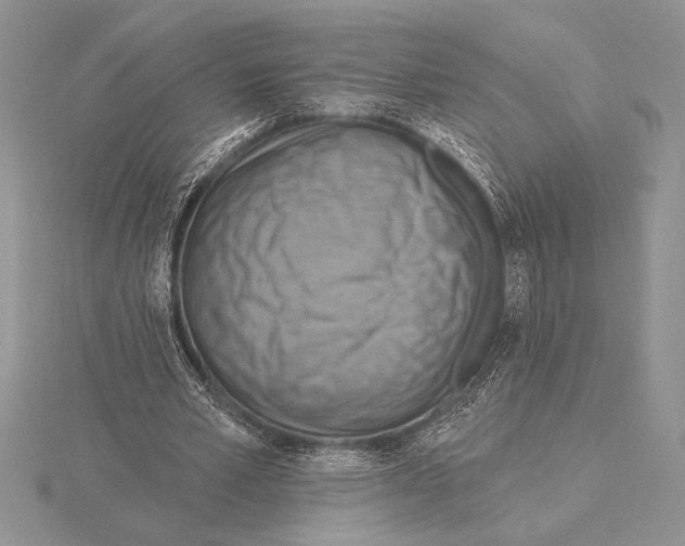 X0000115610581200912081004