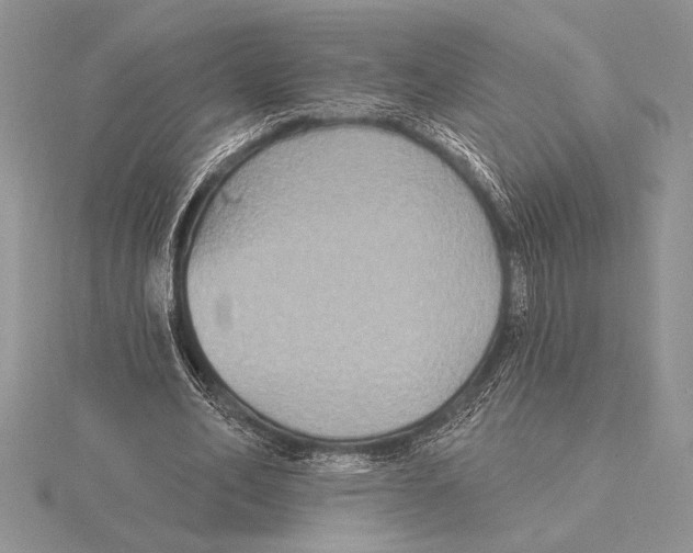 X0000115610582200912081004