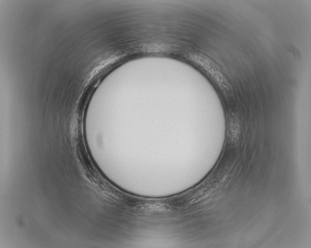 X0000115610583200912081004