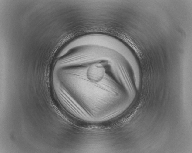X0000115610585200912081004
