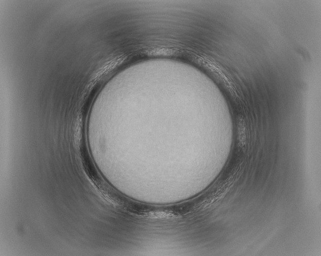 X0000115610586200912081004