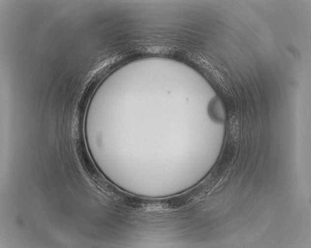 X0000115610587200912081004
