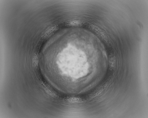 X0000115610593200912081004