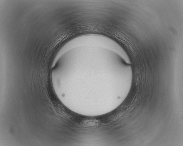 X0000115610595200912081004