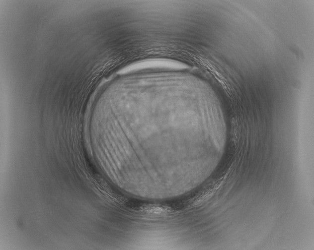 X0000115610597200912081004