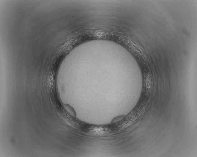X0000115610611200912081003
