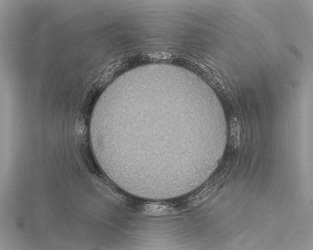 X0000115610614200912081003