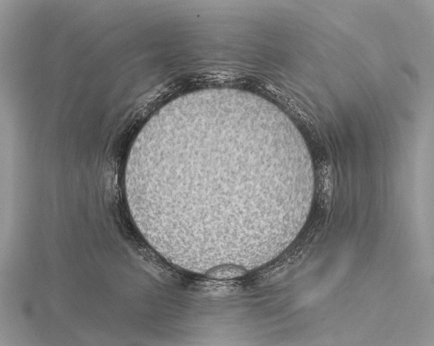 X0000115610615200912081003