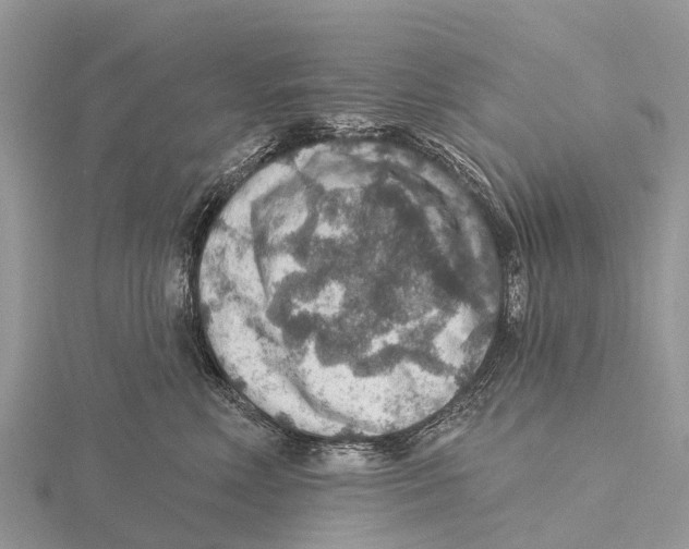 X0000115610618200912081003