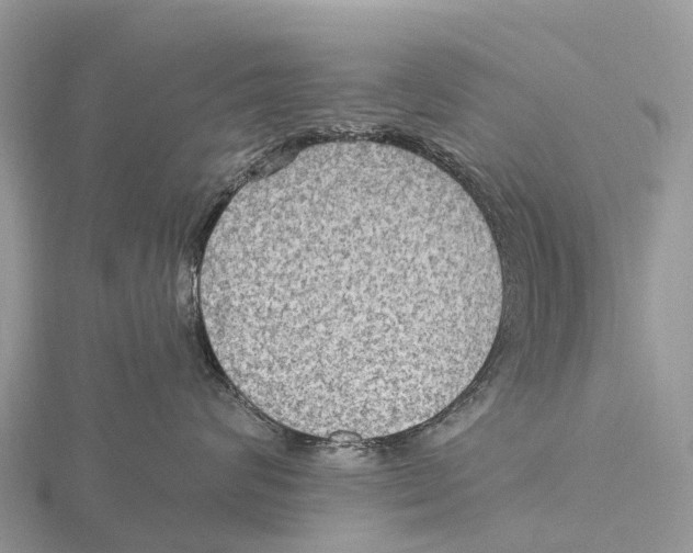 X0000115610624200912081003