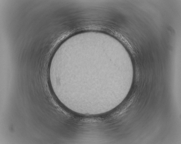 X0000115610625200912081003