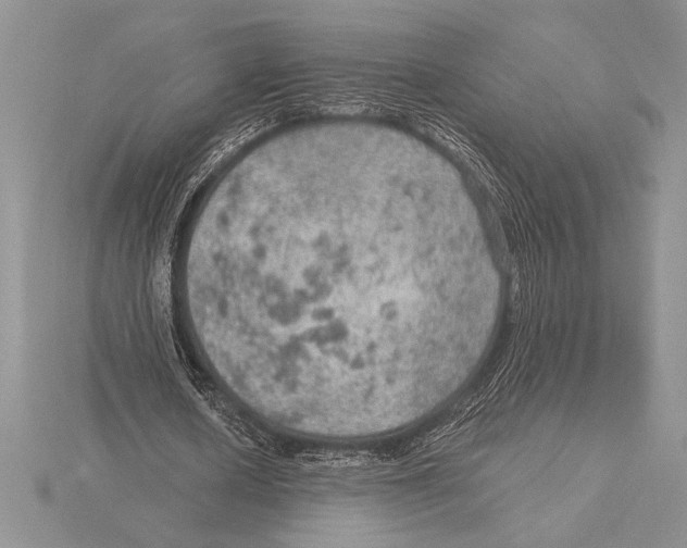 X0000115610626200912081003