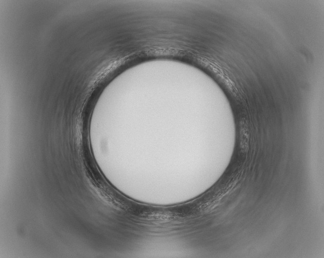 X0000115610631200912081003