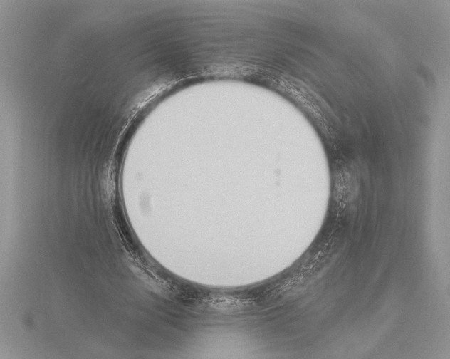 X0000115610632200912081003