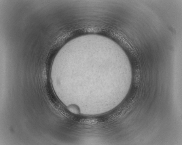 X0000115610639200912081003